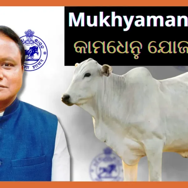Mukhyamantri Kamdhenu Yojana