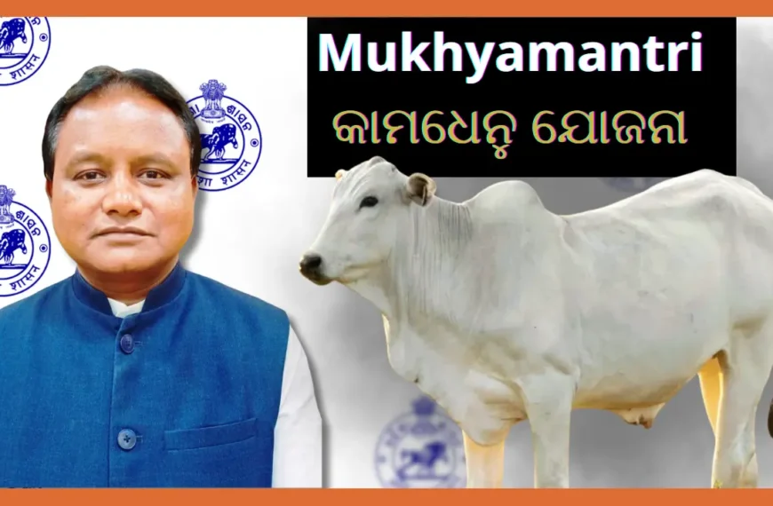 Mukhyamantri Kamdhenu Yojana