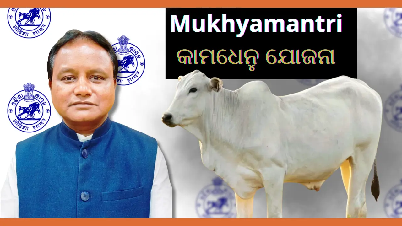 Mukhyamantri Kamdhenu Yojana